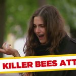 Apanhados – As abelhas voltam a atacar