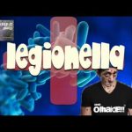 Apanhados – Xano – Estou com a Legionella