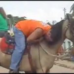 Bêbado cai várias vezes de cima de um cavalo