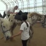 Fail – Como não montar um cavalo