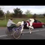 As estradas portuguesas nos próximos anos