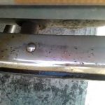 Como deixar o para-choques a brilhar?